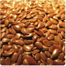 亞麻子Flax Seed (Linumusitatissimum)